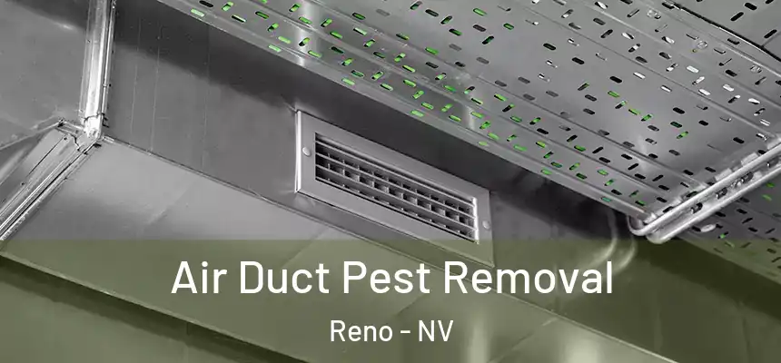Air Duct Pest Removal Reno - NV