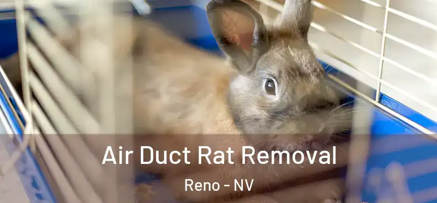Air Duct Rat Removal Reno - NV