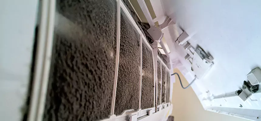 Preventive Air Duct Bacteria Removal in Reno