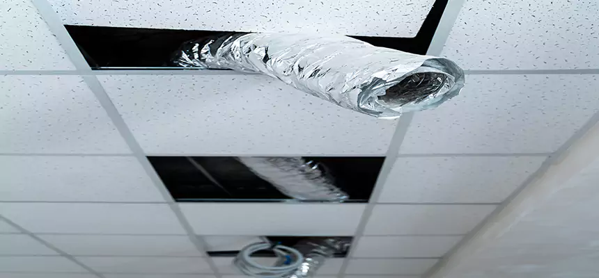 Our Air Duct Pet Hair Removal Services in Reno, NV