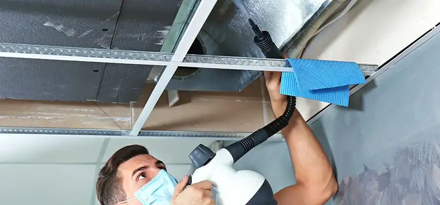 Our Air Duct Rodent Removal Services in Reno, NV