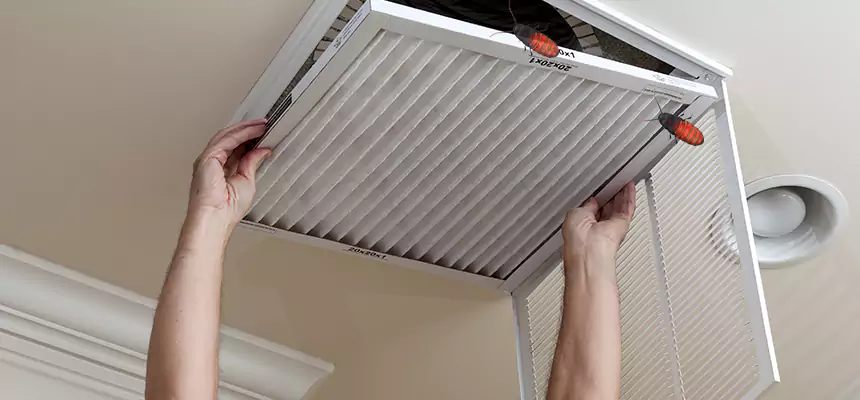 Our Insect Removal from Air Ducts Services in Reno, NV