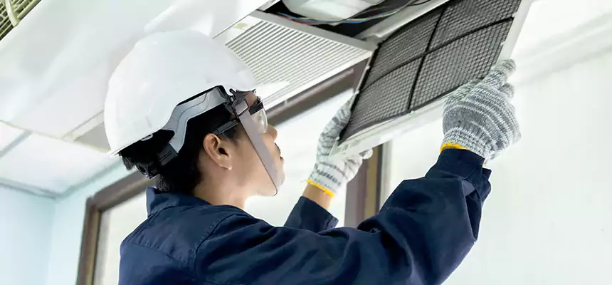 Our Mold & Mildew Removal from Air Ducts Services in Reno, NV