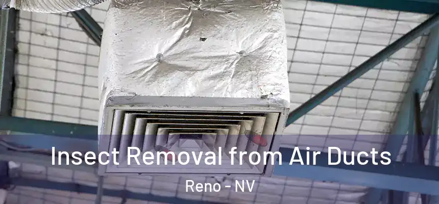Insect Removal from Air Ducts Reno - NV
