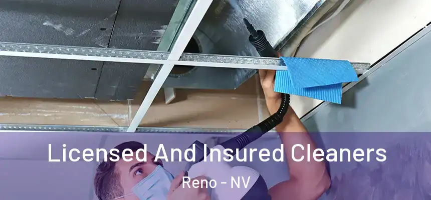 Licensed And Insured Cleaners Reno - NV