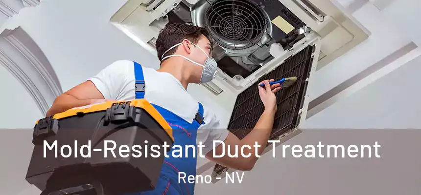 Mold-Resistant Duct Treatment Reno - NV