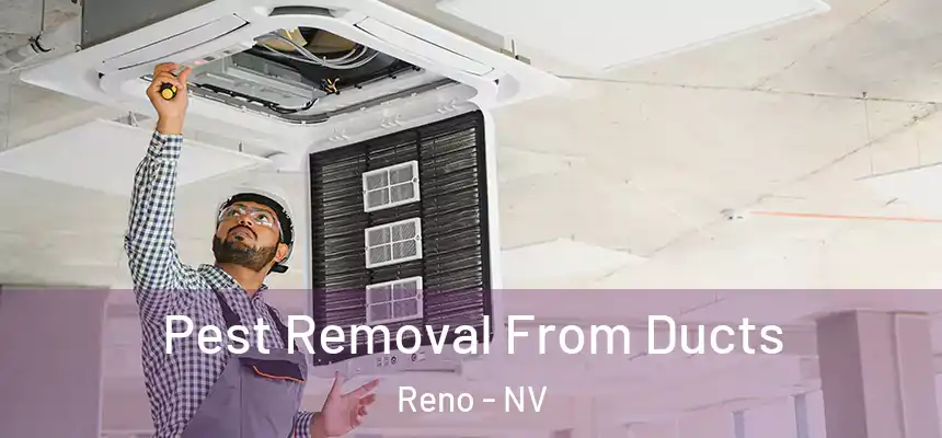 Pest Removal From Ducts Reno - NV