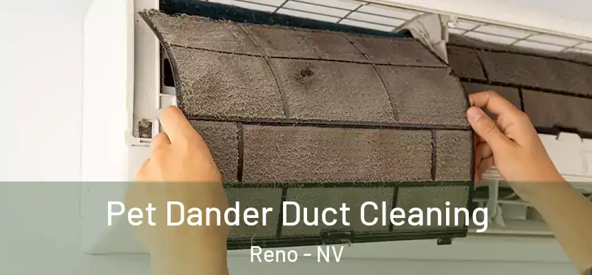 Pet Dander Duct Cleaning Reno - NV