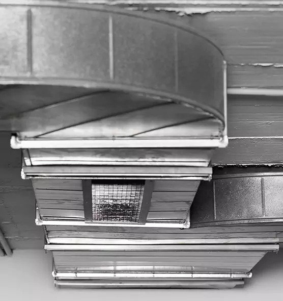 Professional Air Duct Pest Removal in Reno, NV