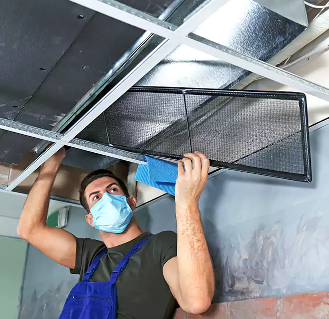 Why Homeowners Businesses Trust Us in Reno, NV