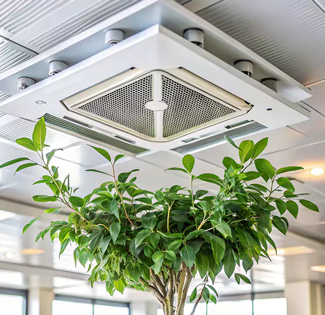 Why Homeowners & Businesses Trust Us in Reno, NV