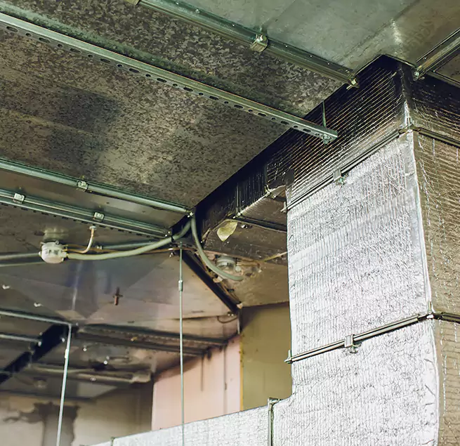 Why Homeowners & Businesses Trust Us in Reno, NV?